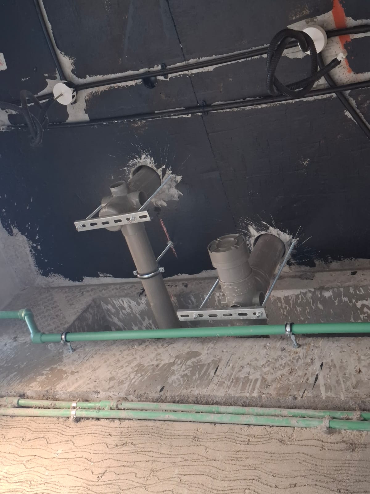 WhatsApp Image 2025-08-20 at 8.39.41 AM